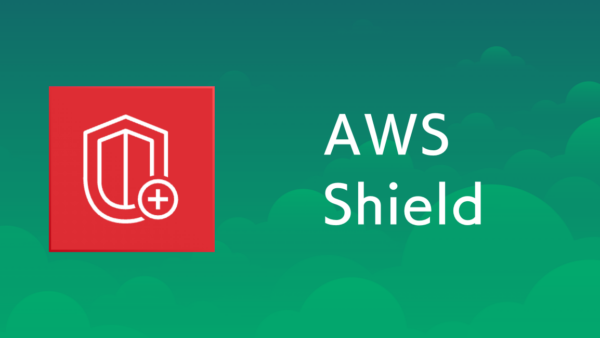 AWS Shieldとは